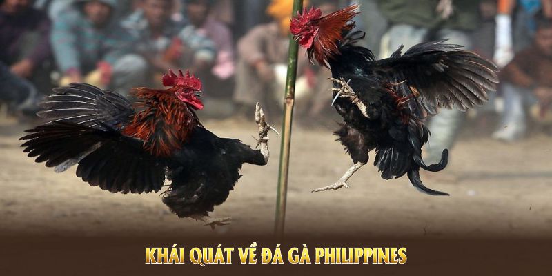 khai quat ve da ga philippines